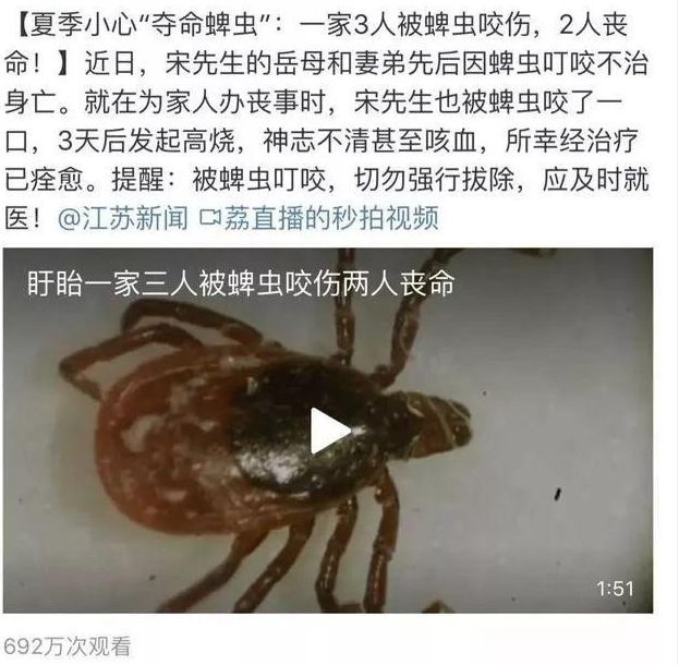金衛(wèi)士殺蜱蟲(chóng) (1).png